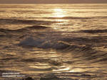 sunset.jpg sunset.jpg