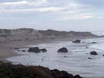 Some of those rocks in the distance are really seals Some of those rocks in the distance are really seals