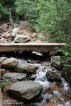 Stream and bridge Stream and bridge