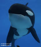 Kiska Kiska