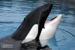 Kiska Kiska