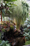 Inside the garden Inside the garden