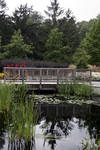 Pond Pond