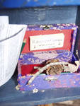 Inside the poetry box Inside the poetry box