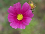 1 1