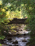 I love stone bridges... stone anything, really. I love stone bridges... stone anything, really.