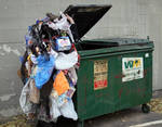 NIGHT OF THE LIVING TRASH NIGHT OF THE LIVING TRASH