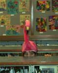 Flamingo lurking in the library Flamingo lurking in the library