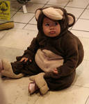 1monkey 1monkey