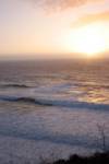 I LOVE MY OCEAN I LOVE MY OCEAN