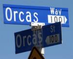 Orcas! =D Orcas! =D