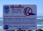 Marine Mammals are Wild Animals and Can be Dangerous! Marine Mammals are Wild Animals and Can be Dangerous!
