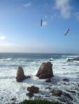 More ocean. More ocean.