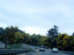 Driving to Santa Cruz. Driving to Santa Cruz.