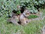 We fed the wildlife. (Shhhhh.) We fed the wildlife. (Shhhhh.)