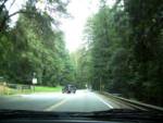 This is what UC Santa Cruz's campus looks like. Wow. This is what UC Santa Cruz's campus looks like. Wow.