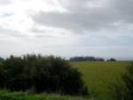 Leaving UCSC. (That's the ocean out there.) Leaving UCSC. (That's the ocean out there.)