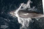 Splashdown =D Splashdown =D