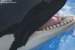 nakai-mouth-blurry nakai-mouth-blurry