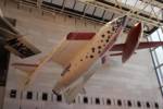A slightly dinged SpaceShipOne (yay!) with the X-1 behind it. A slightly dinged SpaceShipOne (yay!) with the X-1 behind it.