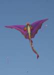 dragon-kite dragon-kite