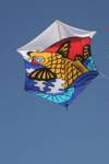 fish-kite fish-kite