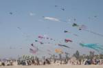 kites-beach kites-beach