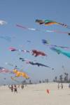 kites-group kites-group