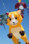 mouse-cat-dog mouse-cat-dog