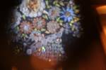 Microscopic art using parts of butterfly wings. Shot through the microscope. Microscopic art using parts of butterfly wings. Shot through the microscope.