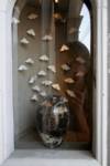 Moths, jar, my reflection Moths, jar, my reflection