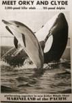 1968 ad with original Orky and common dolphin 1968 ad with original Orky and common dolphin