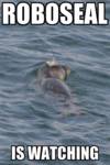 roboseal roboseal