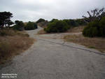 paths.jpg paths.jpg