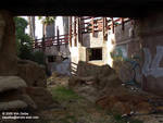 Baja Reef Baja Reef