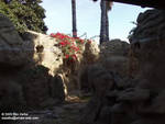 And more Baja Reef And more Baja Reef