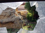 Looking through the window into Baja Reef Looking through the window into Baja Reef