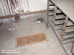 Old floor drain in the grill Old floor drain in the grill