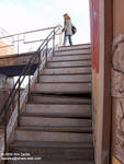 Stairs up to the gift shop roof Stairs up to the gift shop roof