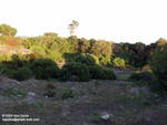 The former home of the dolphin stadium The former home of the dolphin stadium