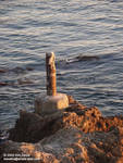 Old piling Old piling