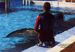 kasatka-flukescratch.jpg kasatka-flukescratch.jpg