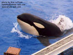 keet-surface1.jpg keet-surface1.jpg