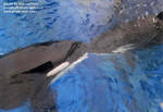 orkid-sumar-kiss.jpg orkid-sumar-kiss.jpg