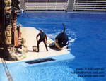 keet-slide.jpg keet-slide.jpg