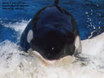 splash-slide1.jpg splash-slide1.jpg