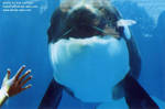 sumar-smile1.jpg sumar-smile1.jpg