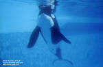 uli-float4.jpg uli-float4.jpg
