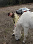 Brett with one of the horses Brett with one of the horses