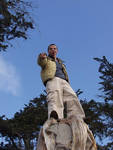 Brett on a stump Brett on a stump